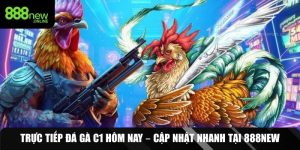 trực tiếp đá gà C1 hôm nay