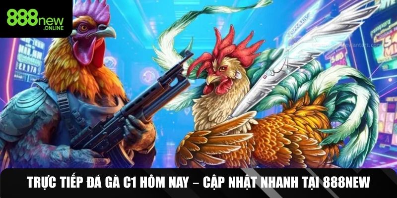 trực tiếp đá gà C1 hôm nay