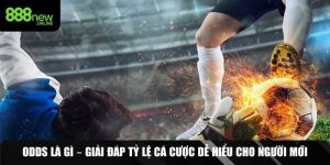 odds là gì