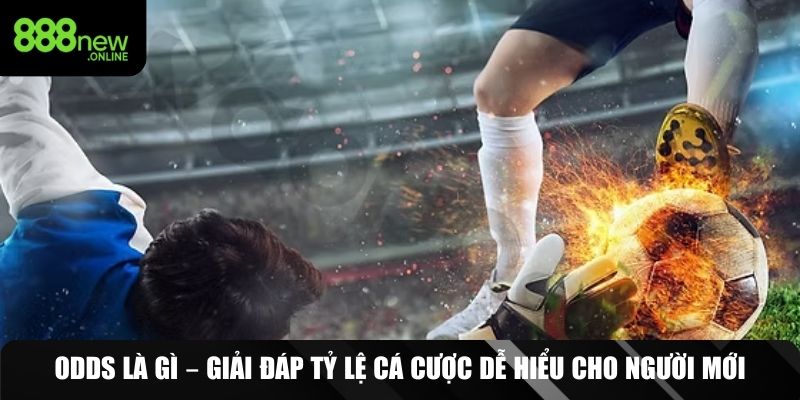 odds là gì